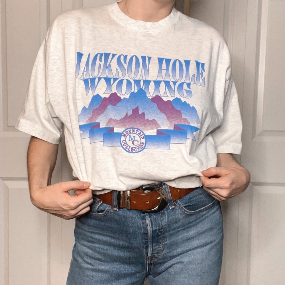 Jackson Hole Wyoming Tourist T-Shirt Blue Gray Purple Men’s Size XL